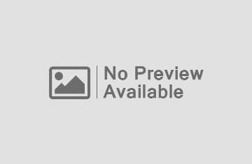 Javascript Developer